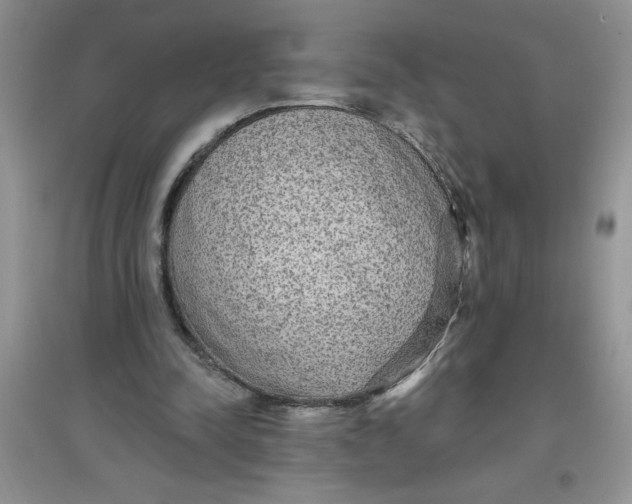 X0000097610342200803141944