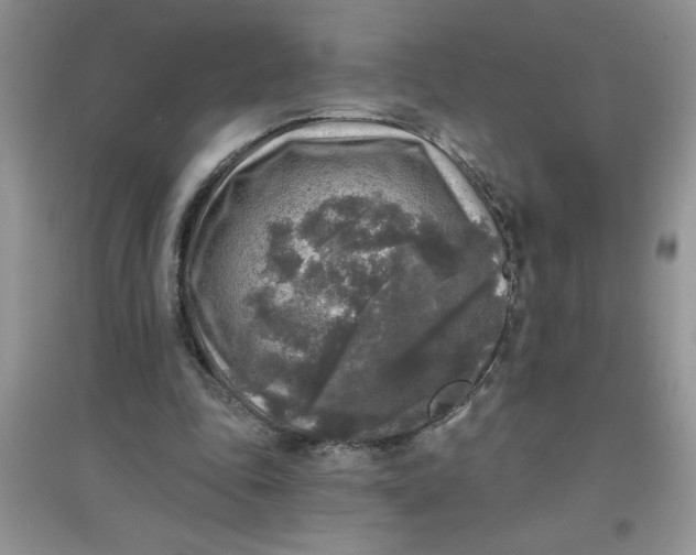 X0000097610343200803141944