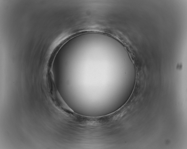 X0000097610344200803141944