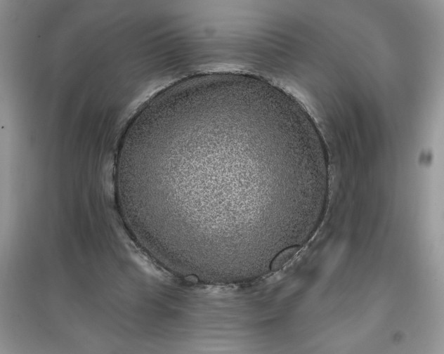 X0000097610345200803141944