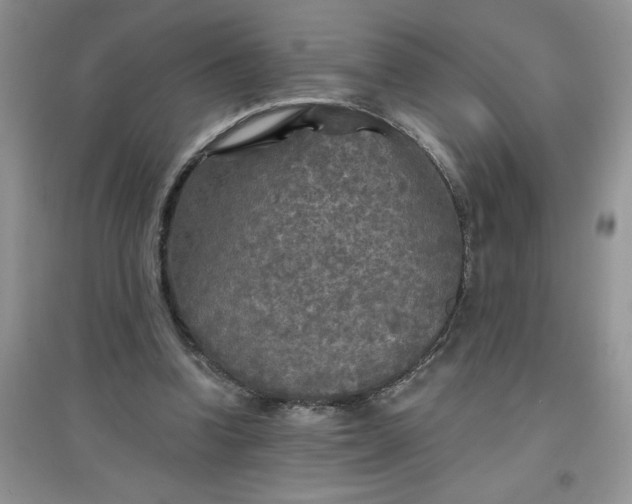 X0000097610346200803141944