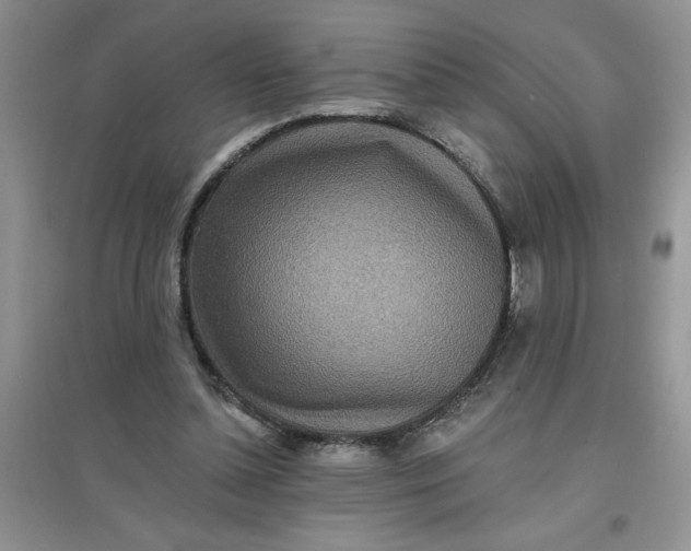 X0000097610348200803141944