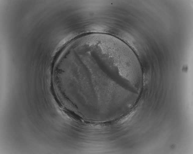 X0000097610349200803141944