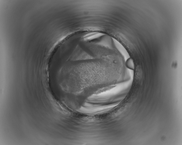 X0000097610351200803141944