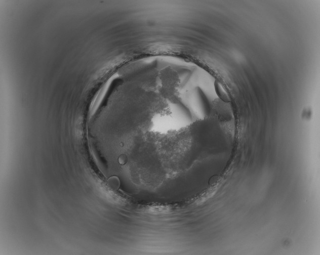 X0000097610353200803141944