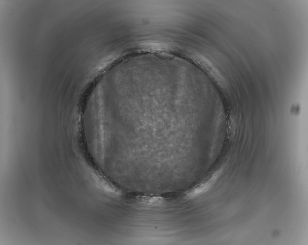 X0000097610355200803141944