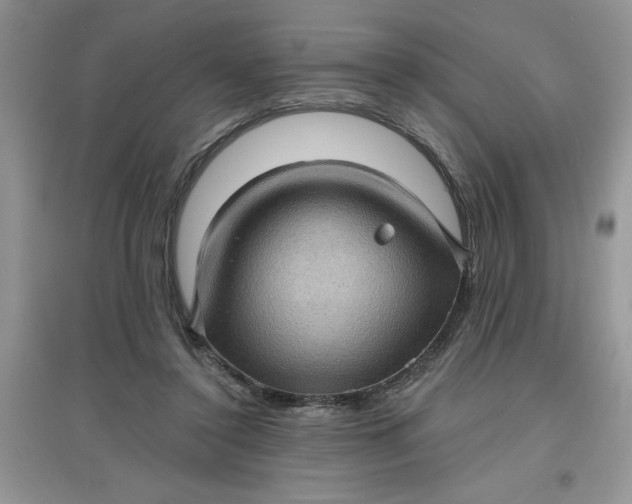 X0000097610356200803141944