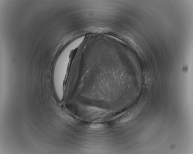 X0000097610357200803141944