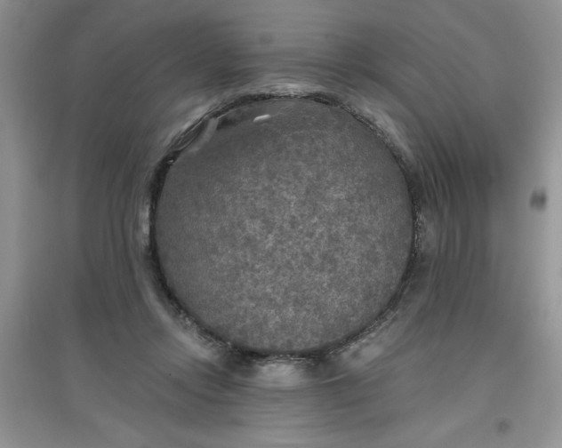 X0000097610358200803141944