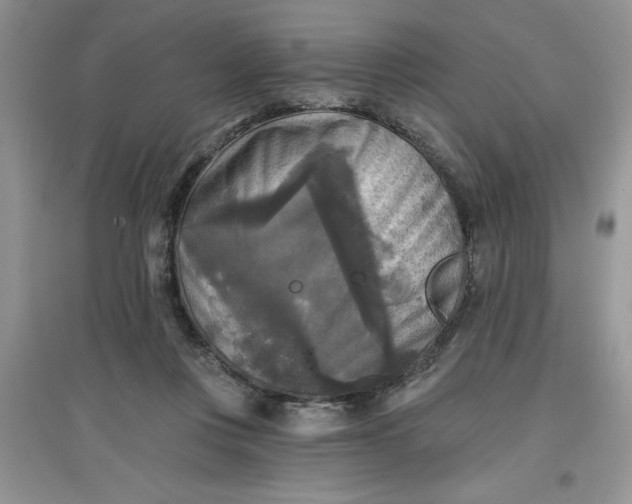 X0000097610359200803141944