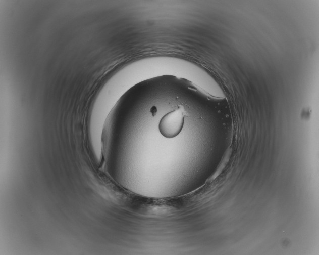 X0000097610360200803141944