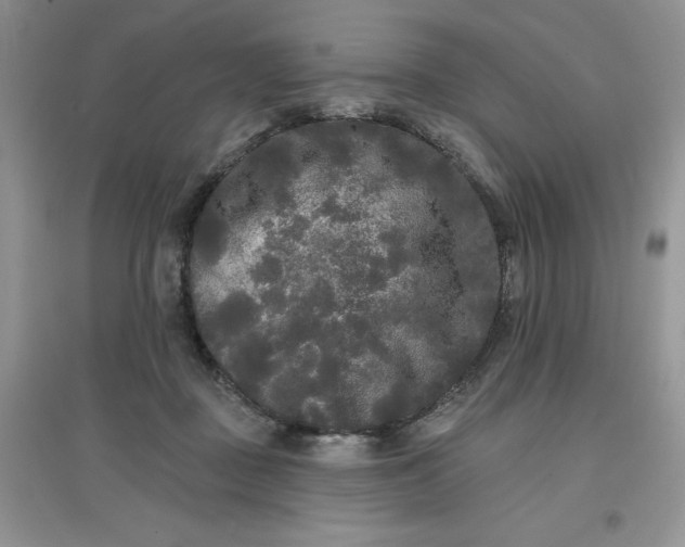 X0000097610363200803141944