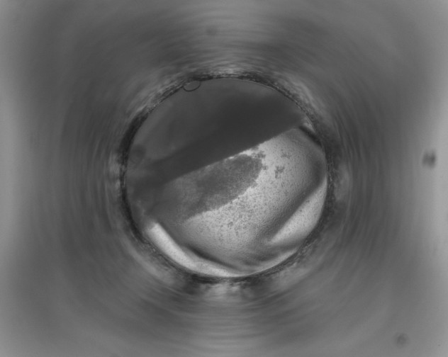 X0000097610366200803141944