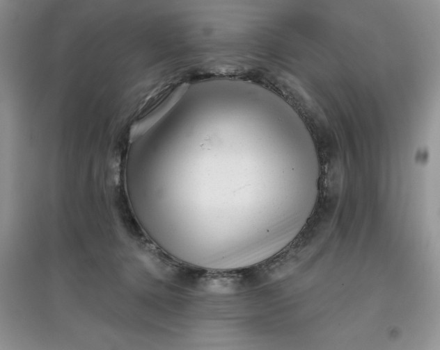 X0000097610368200803141945