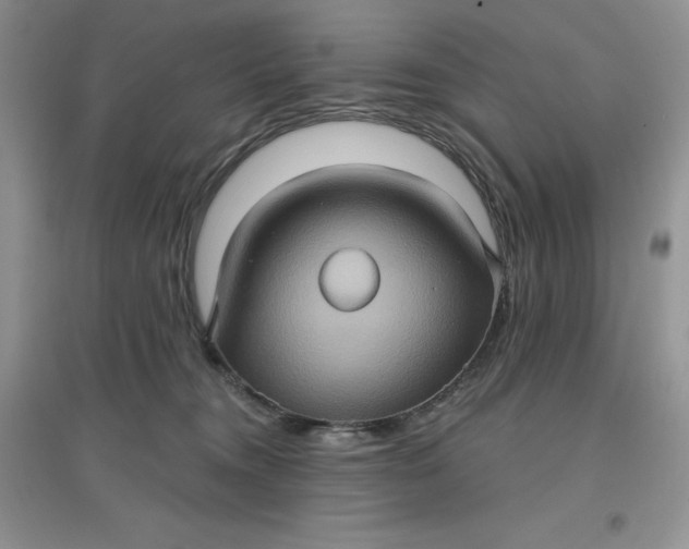 X0000097610372200803141945