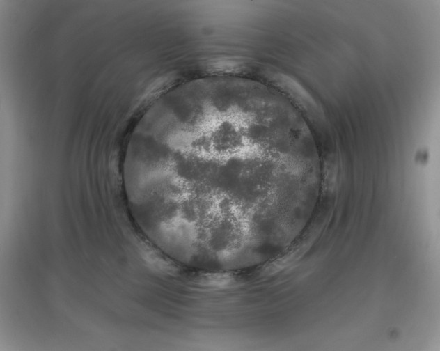 X0000097610377200803141945