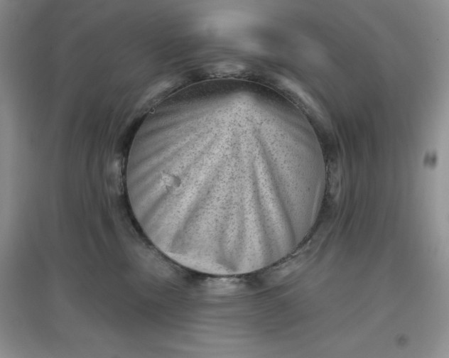 X0000097610378200803141945