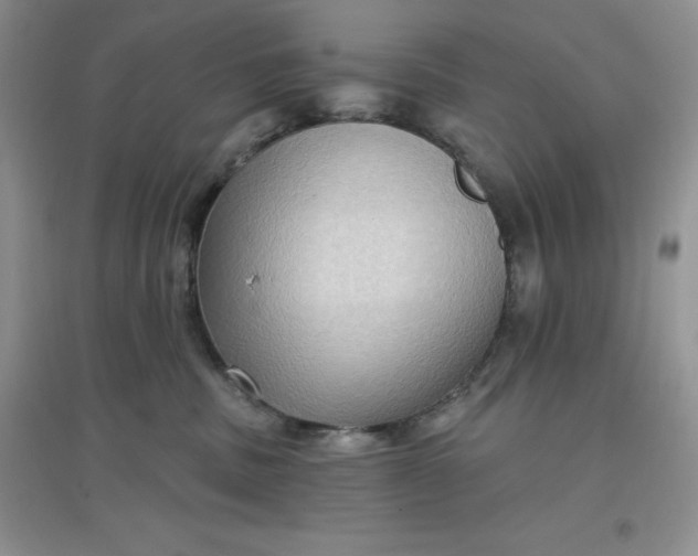 X0000097610379200803141945