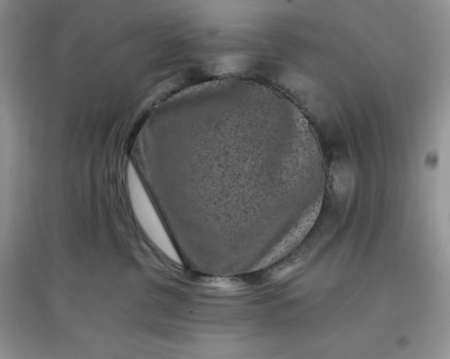 X0000097610380200803141945