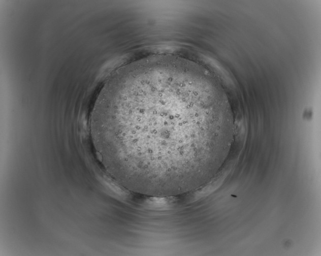 X0000097610381200803141945