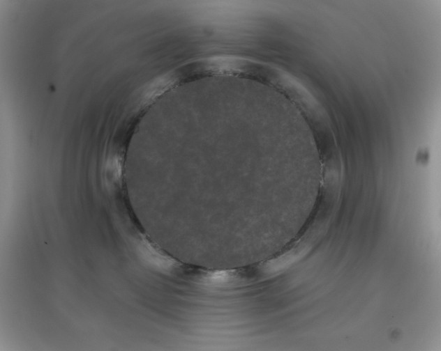 X0000097610382200803141945