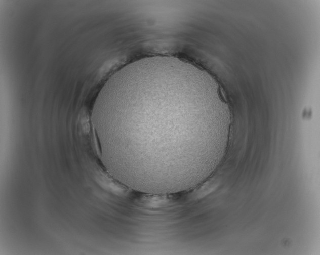 X0000097610384200803141945