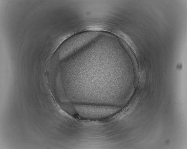 X0000097610385200803141944