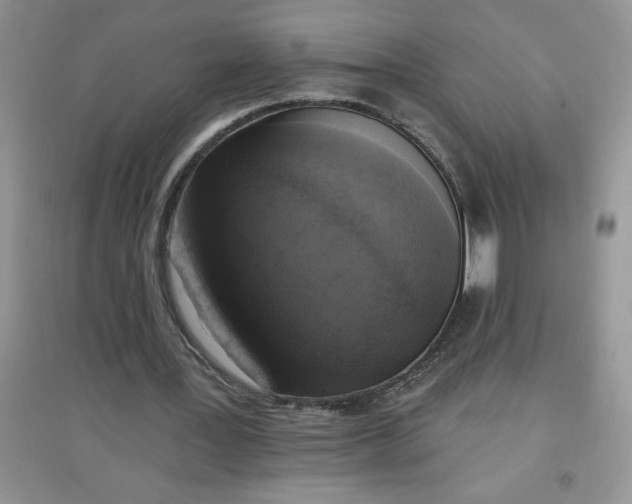 X0000097610387200803141944