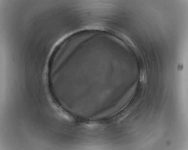 X0000097610388200803141944