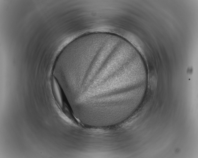 X0000097610389200803141944