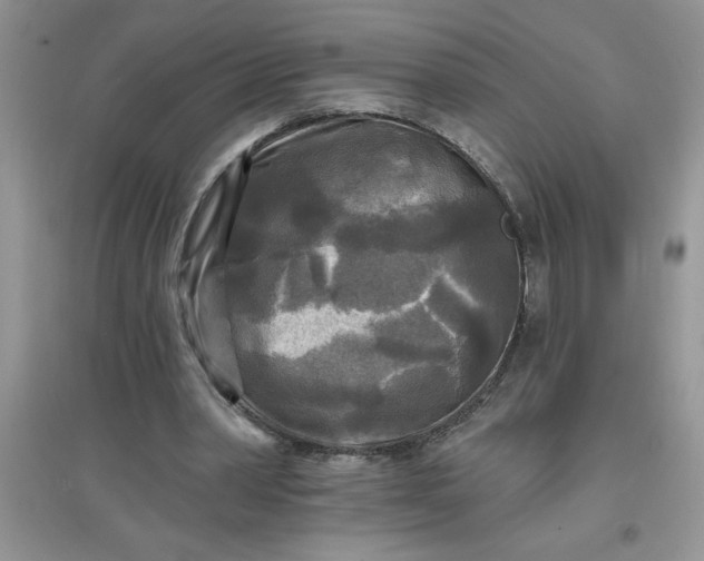 X0000097610390200803141944