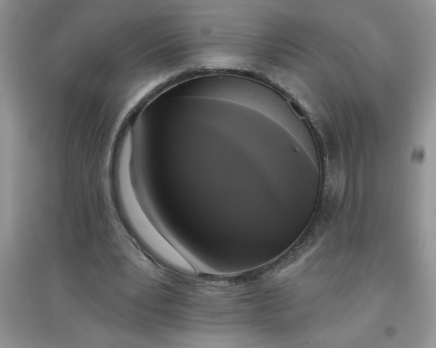 X0000097610391200803141944