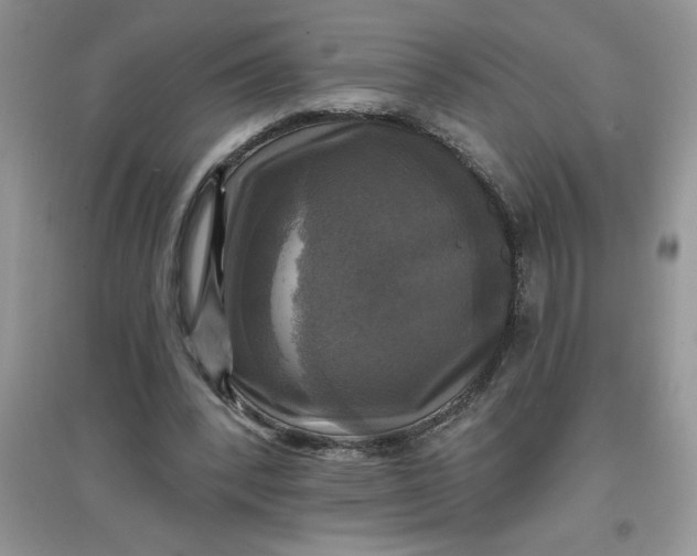 X0000097610392200803141944