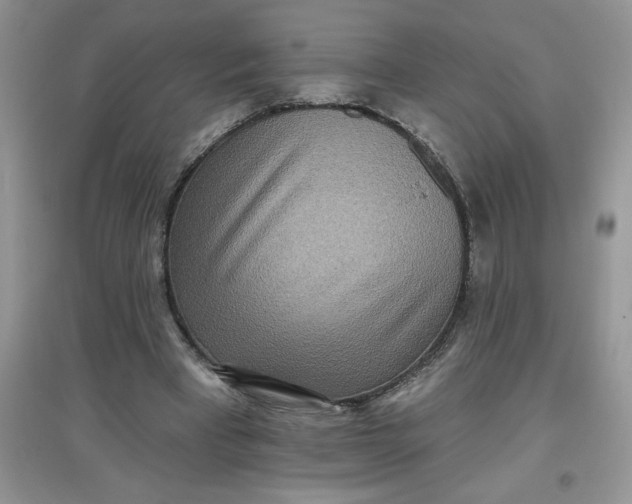 X0000097610393200803141944