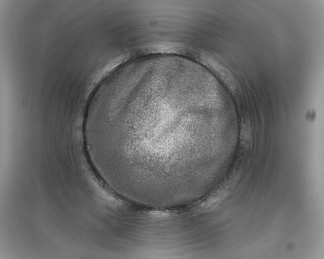 X0000097610394200803141944