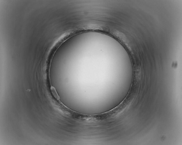 X0000097610395200803141944