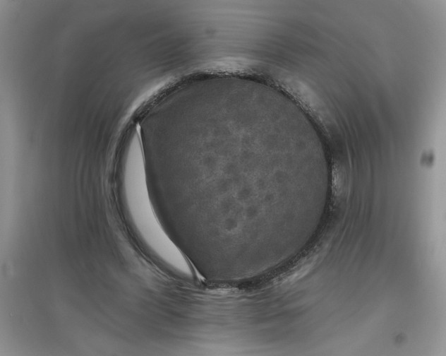 X0000097610396200803141944