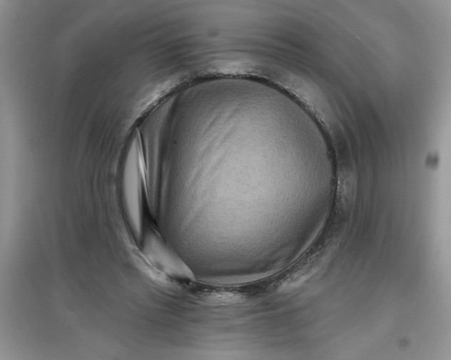 X0000097610397200803141944