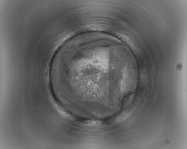 X0000097610398200803141944