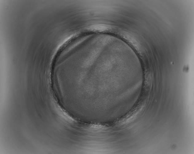 X0000097610399200803141944