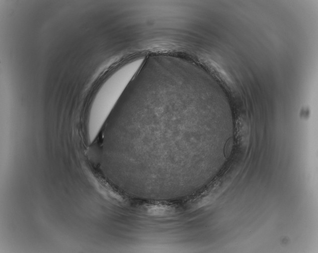 X0000097610400200803141944