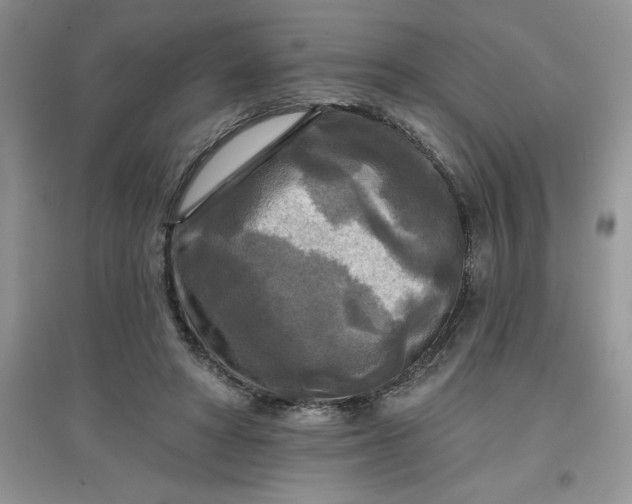 X0000097610402200803141944