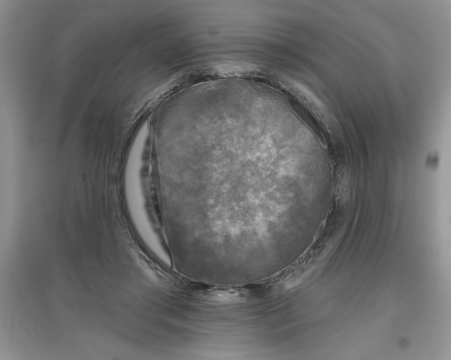 X0000097610405200803141944