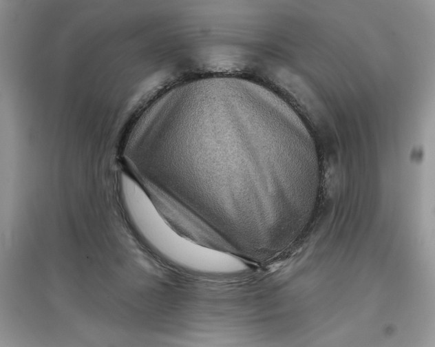 X0000097610407200803141944