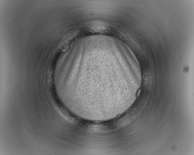 X0000097610408200803141944