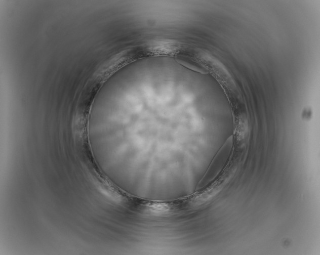 X0000097610409200803141944