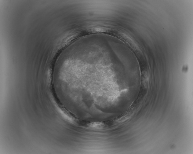 X0000097610410200803141944