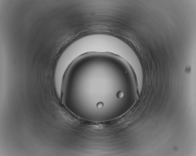 X0000097610411200803141944