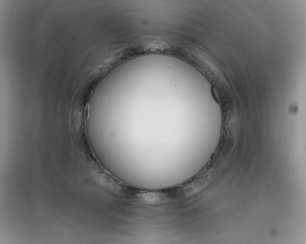 X0000097610417200803141944