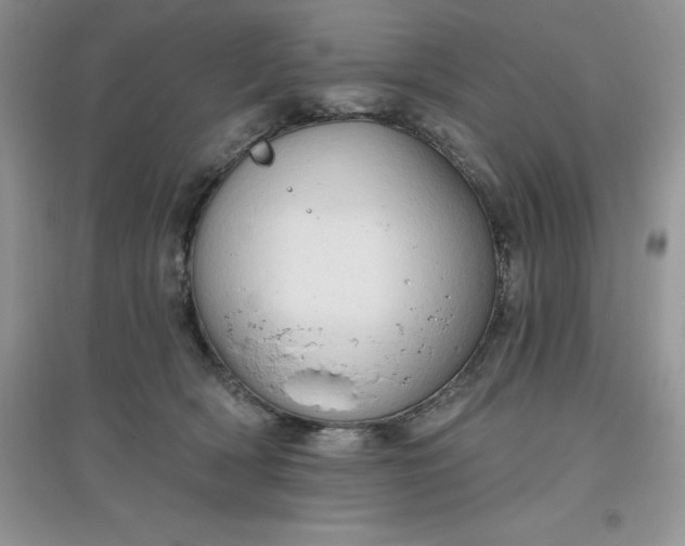 X0000097610418200803141943